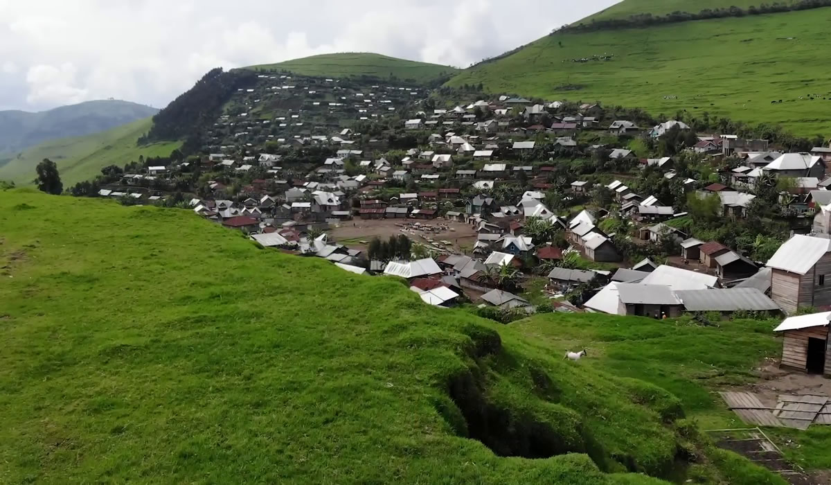 12 Days Ultimate Congo Safari Experience