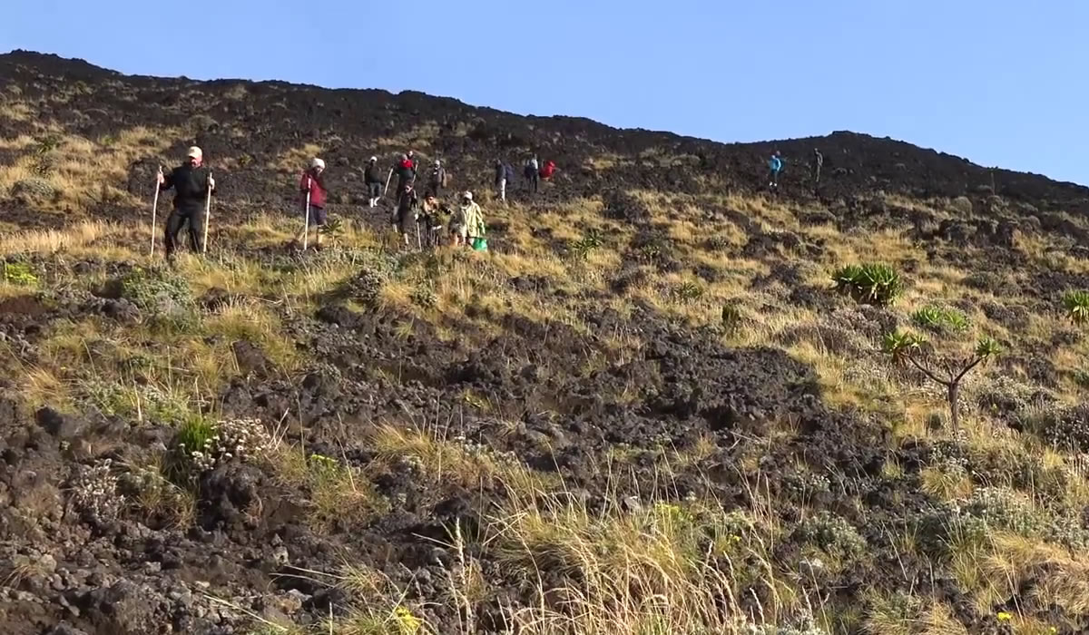 9 Days Congo Gorillas, Culture and Lake Kivu Tour