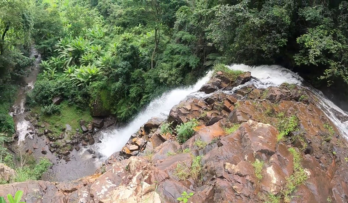 10 Days Ultimate Burundi Safari Experience