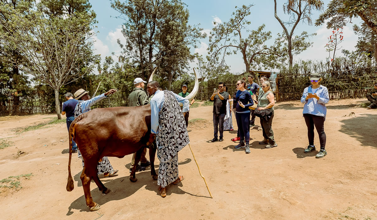 7 Days Rwanda Gorillas, Wildlife and Culture Tour