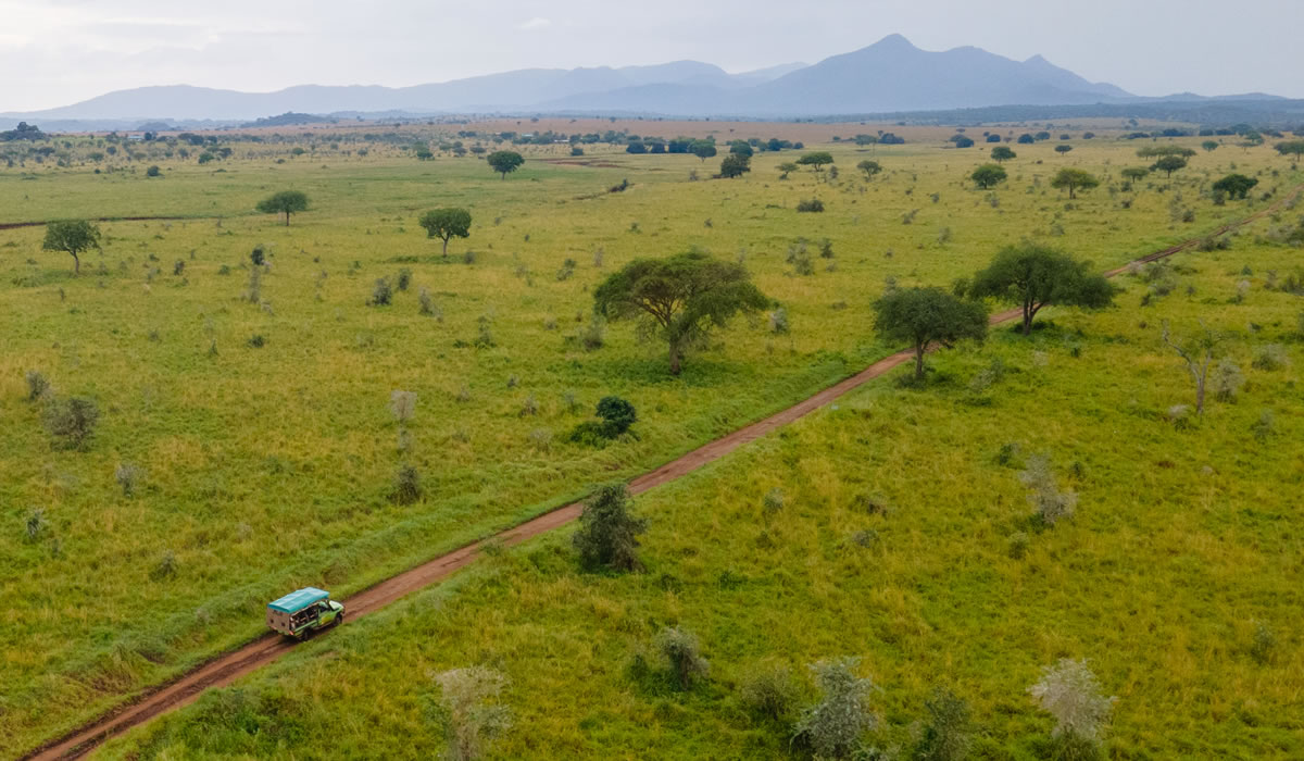 10 Days Best of Uganda Safari