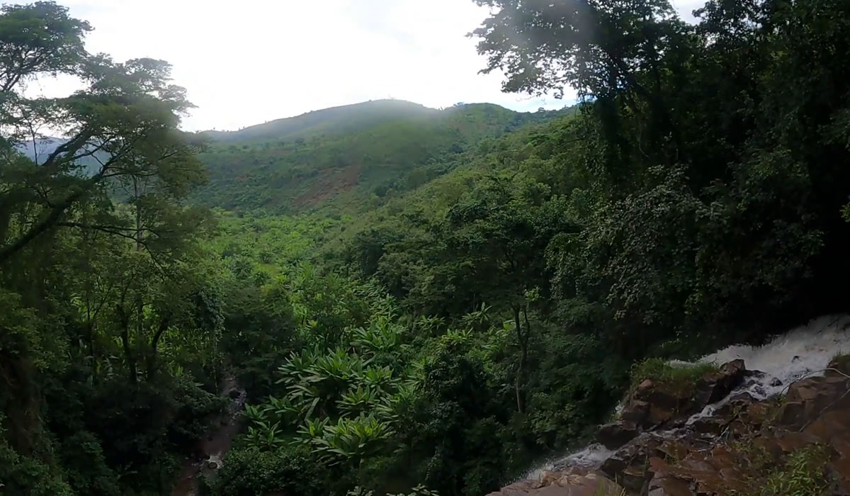 3 Days Rusizi National Park and Kigwena Forest Safari