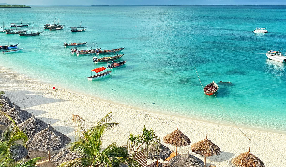 10 Days Tanzania Wildlife and Zanzibar Beach Holiday