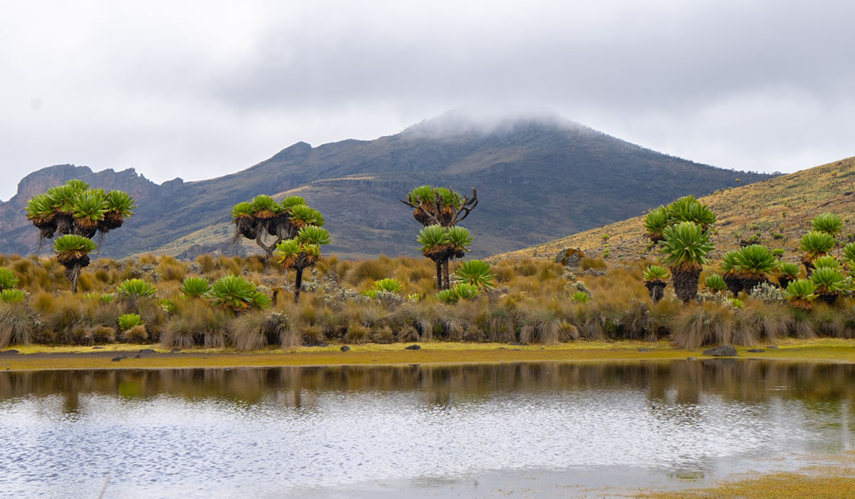 Mount Elgon National Park