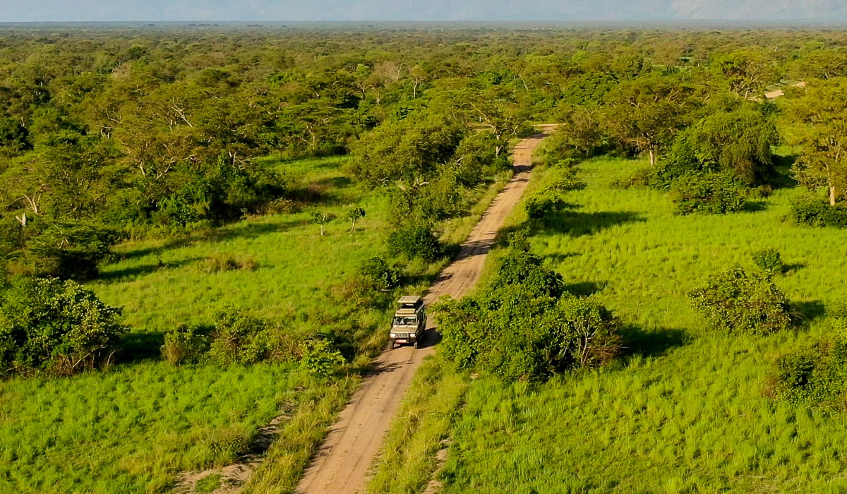 Wildlife Game Drives in Uganda