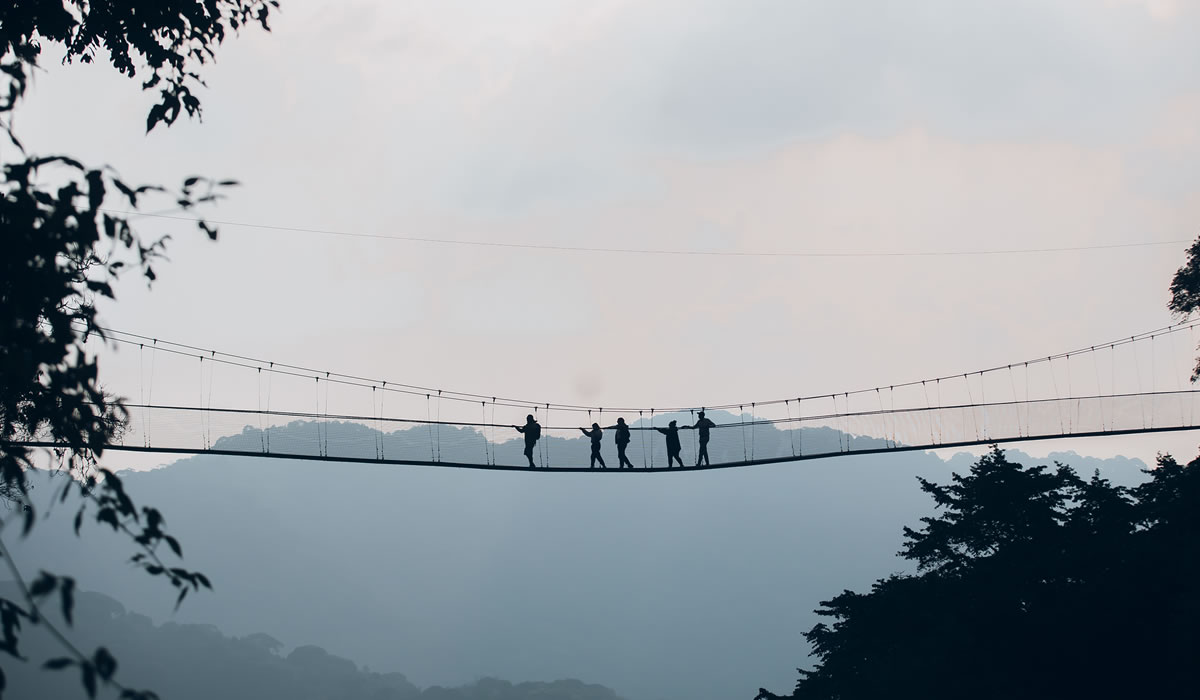 Nyungwe Forest National Park